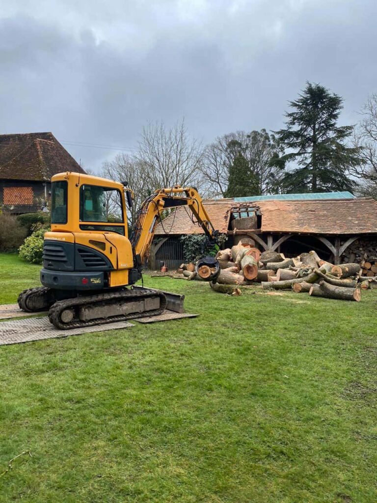 This is a photo of a tree which has grown through the roof of a barn that is being cut down and removed. There is a digger that is removing sections of the tree as well. Olney Tree Surgeons