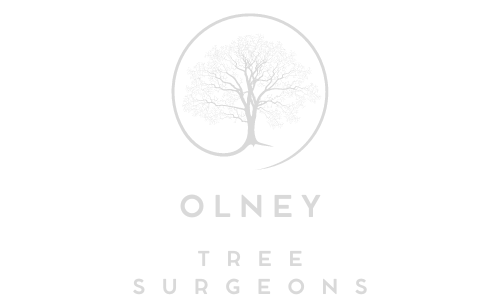 Olney Tree Surgeons